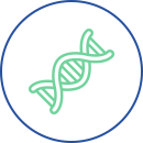Icon CFTR-Gene 